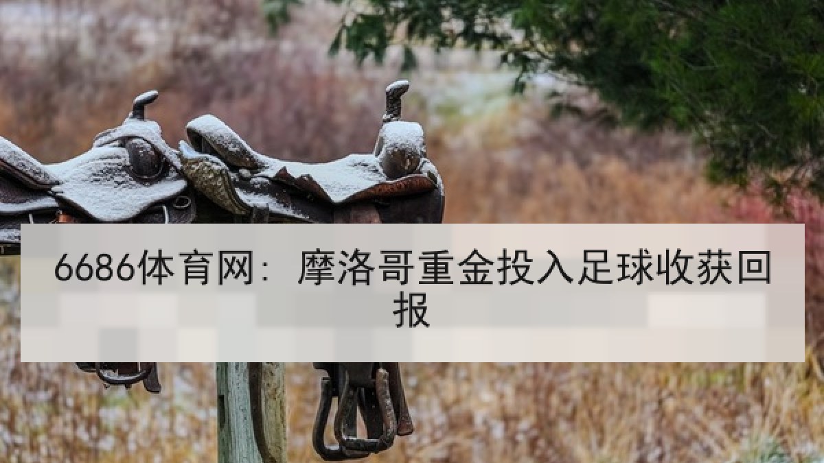 6686体育网: 摩洛哥重金投入足球收获回报 6686体育网: 摩洛哥重金投入足球收获回报